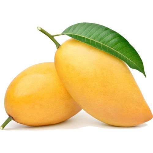 Pack Of 1 Kilogram A Grade Sweet Taste Medium Size Langra Mangoes