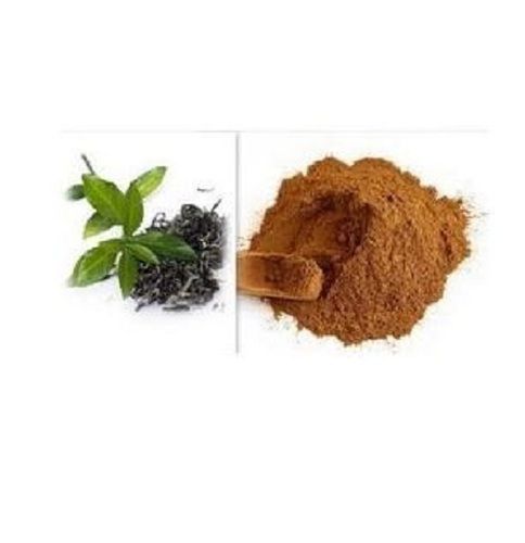 Pack Of 1 Kilogram Pure And Natural Dried Green Tea Extract 