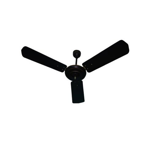 Amazing And Sleek Designed Premium Cinni Regular Sweep 1400 Mm Ceiling Fan at Best Price in