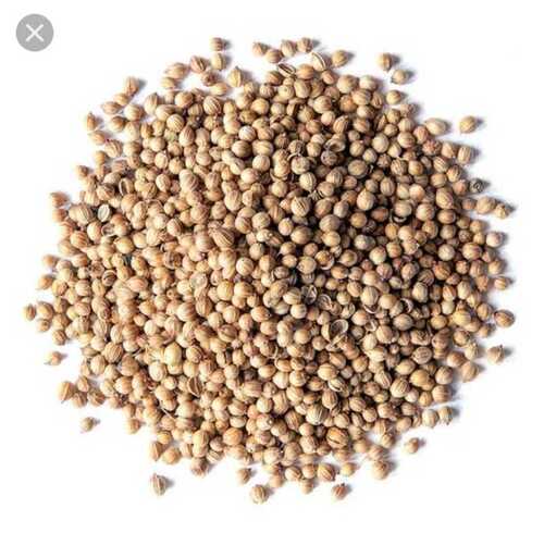 Coriander Seeds For Cooking Usage In Light Golden Brown Color, Moisture 10% Max