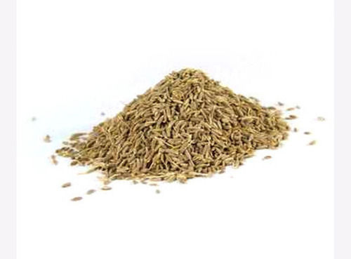 1 Kilogram Packaging Size Brown 22 Percent Moisture Raw Green Cumin Seeds 
