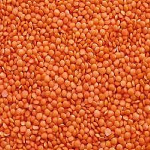 Healthy Rich In Vitamin And Natural Pink Masoor Dal 