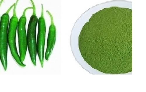 1 Kilogram Packaging Size Pure And Dried Blended Green Chilli Powder