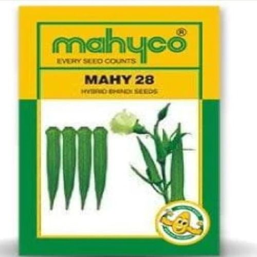 100 Gram Commonly Cultivated Dreid and Cleaned Mahy 28 Okra Seeds