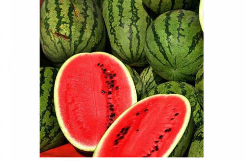 Delicious And Sweet Taste India Origin Common Watermelon