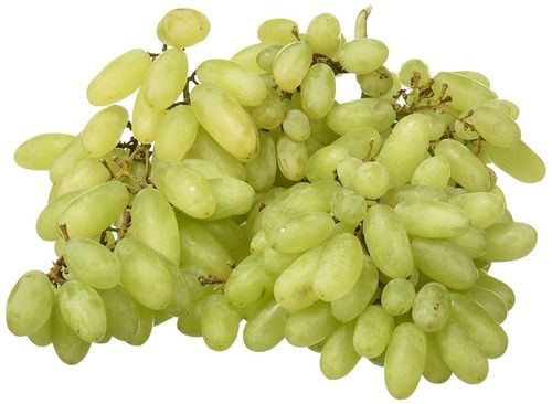 Organic Natural And Fresh Sweet Delicious Non-Glutinous Green Grapes Fruit