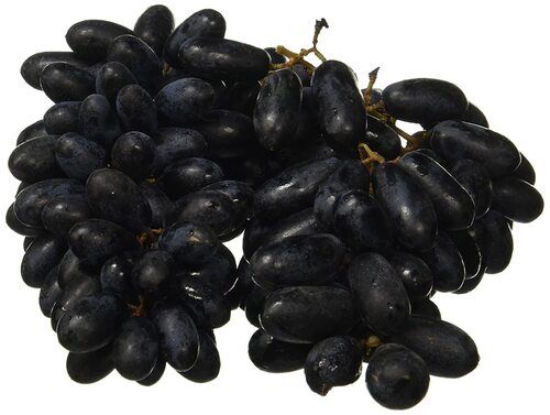 Commonly Cultivated Sweet And Sour Fresh Black Grapes