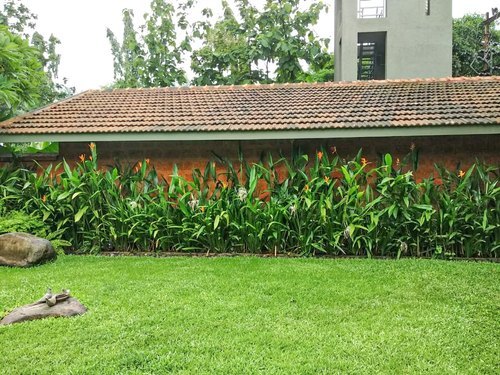 Natural Lawn Maintenance  In Mumbai, For Farmhouse Landscape