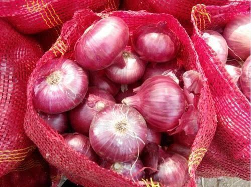 fresh red onion