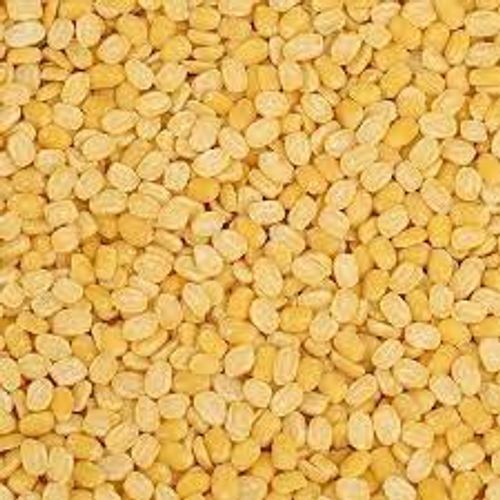 Delicious Healthy And Natural Dried Round Shaped Yellow Splited Moong Dal