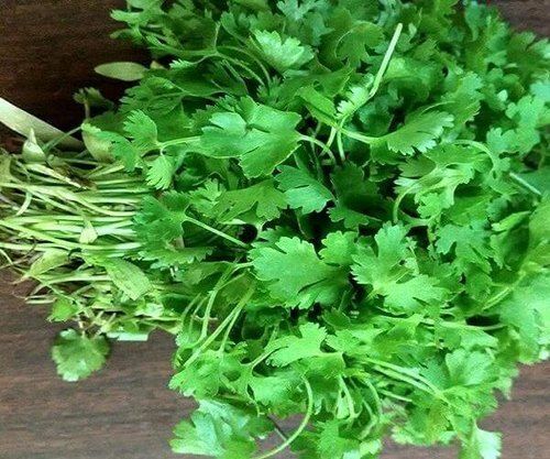 Natural Green Coriander