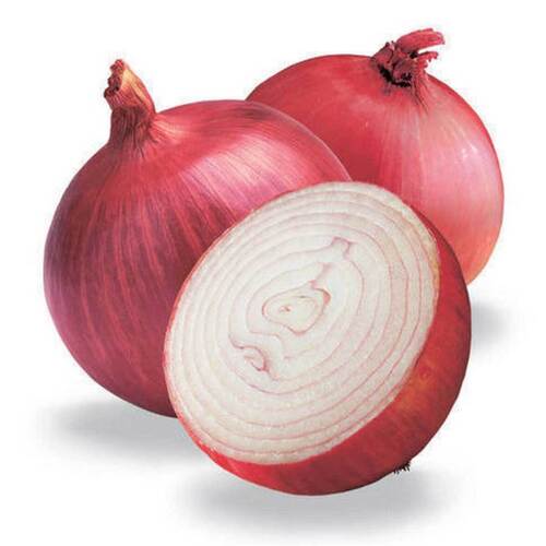 Rich In Antioxidants Vitamins Multipurpose Round Healthy Fresh Onion Moisture (%): 2%