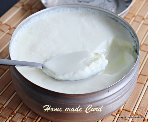 100% Pure White Curd With 289 Kcal(1 Week Shelf Life)