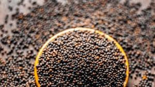 Health Promoting Anti Oxidant Natural Dried Black Organic Mustard Seeds
