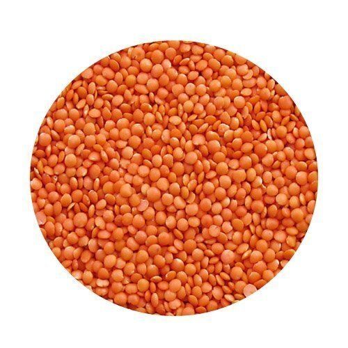 Medium Grain Round Dried Splitted Red Masoor Dal For Cooking Use