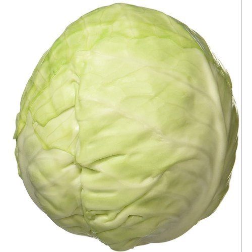 Rich In Vitamin C And Fiber Tasty Round Shaped Fresh Cabbage For Cooking Moisture (%): 70 %