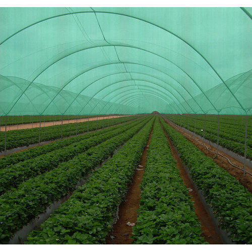 Agricultural Greenhouse Net