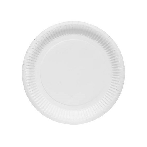 EcoFriendly Easy Grip Great Value White Disposable Dinner Plate at