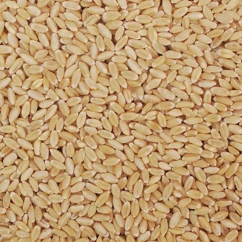 Pure And Natural Commonly Cultivated Food Grade Dried Milling Wheat