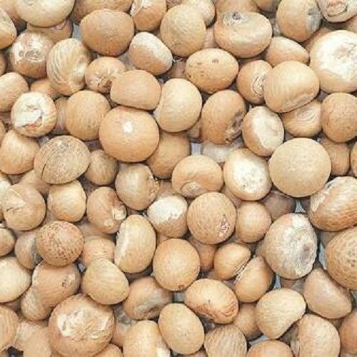 Brown Raw Organic Round Shape Solid Natural Flavour Moisture Proof Betel Nuts