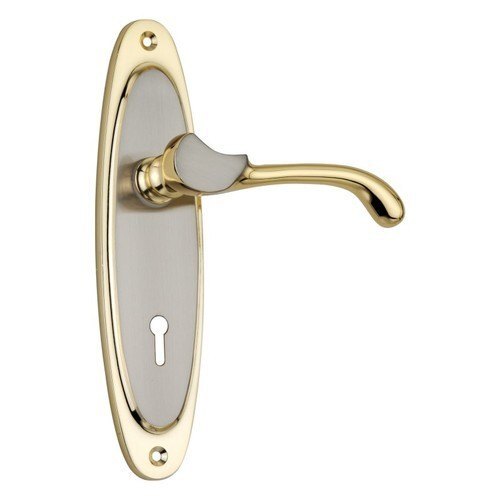 Stainless Steel Door Lock - 35-45 Grams, Silver And Gold Finish | Sturdy Design, 1 Key, 2-Year Warranty
