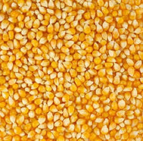 Yellow Maize Admixture (%): 5%