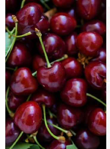 1kg Common Cultivation Type Sweet Taste Dark Red Cherry