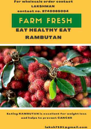 RAMBUTAN fruit 