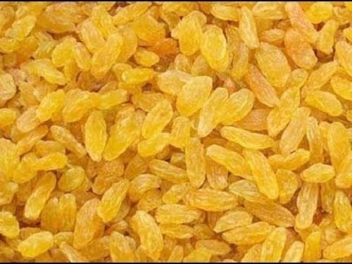 Pack Of 5 Kilogram High In Fiber And Protein Dried A Grade Golden Raisins