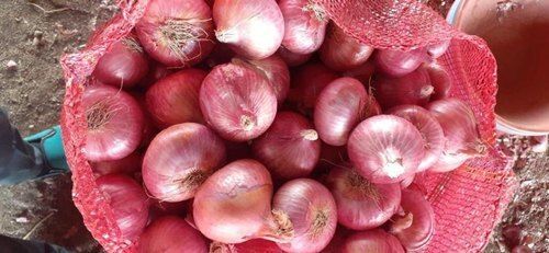 https://tiimg.tistatic.com/fp/1/007/990/a-grade-red-super-fresh-desi-onion-onion-size-available-large-packaging-size-50-kg-211.jpg