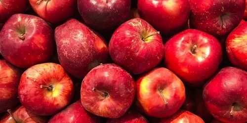 Red Commonly Cultivated Sweet Fresh Apples