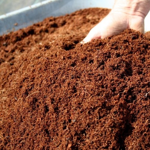 Germination And Aeration Fungal Growth Disintegrates Slowly Coco Peat Powder