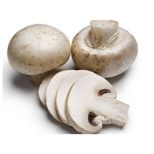 Fresh Button White Mushroom