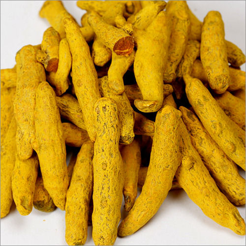 For Cooking Use Rich In Protein Dried Bitter Taste Turmeric Finger