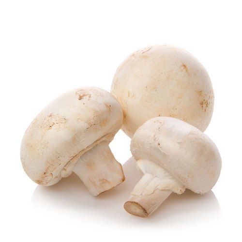 A Grade 100 Percent Purity High In Vitamins and Minerals Healthy Edible Fresh Mushroom