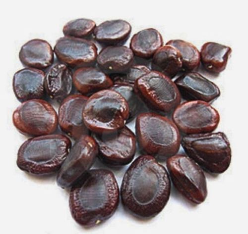 High In Nutrients Vitamin B3 Antioxidants Shiny Black Tamarind Seed