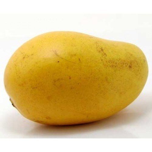 Yellow Mouth Watering Tasty Delicious Rich In Vitamin Fresh Mango Fruit