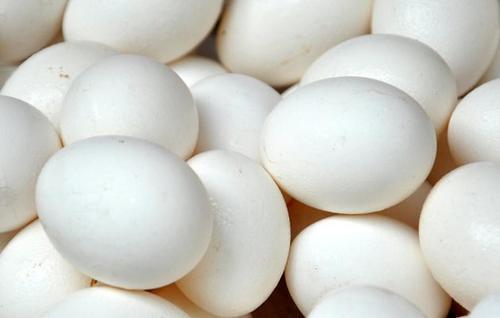 Fresh Poultry Broiler White Eggs Egg Origin: Chicken