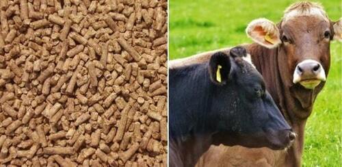 Wholesale Price Premium Quality Cattle Feed Grade Pellet Feed