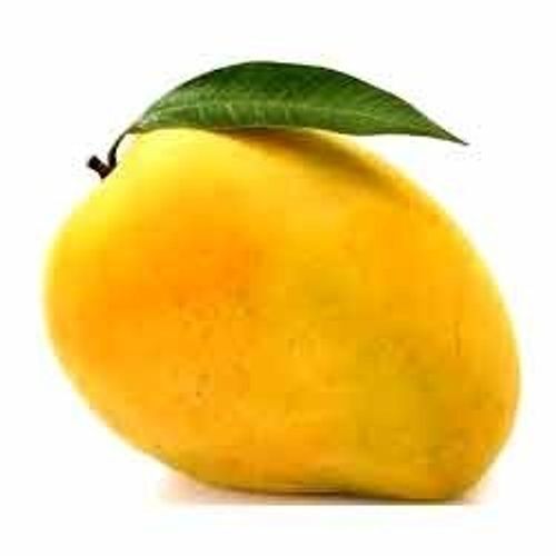 Delicious Taste Natural And Rich In Vitamins Fresh Yellow Mangoes 1 Kg