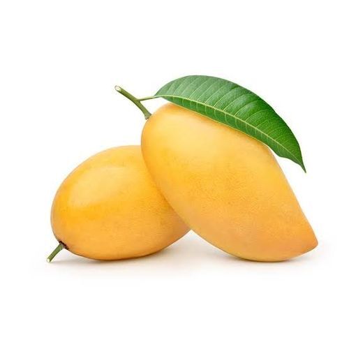 Kesar mangoes of Junagadh reaching the world as season sets