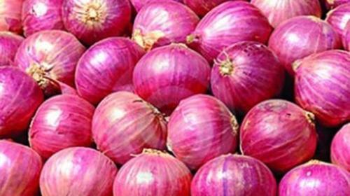 5 kg Indian Red Onion, Packaging: PP Bag