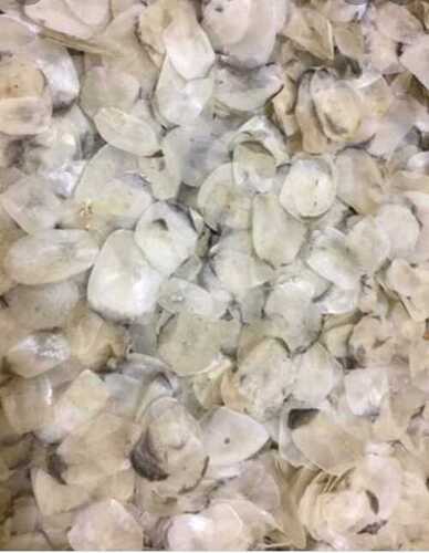 Dry Fish Scales Rohita Labeo Catla For Factory