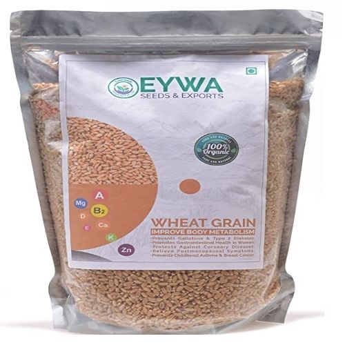 Stainless Steel Improves Body Metabolism Rich In Fiber Eywa Organic Wheat Grain Seeds