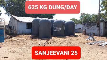 25 Cubic Meter/day Portable Biogas Plant