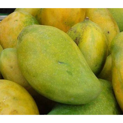 Healthy Tasty Delicious Nutritious Rich In Protein Langra Mango Fruit 