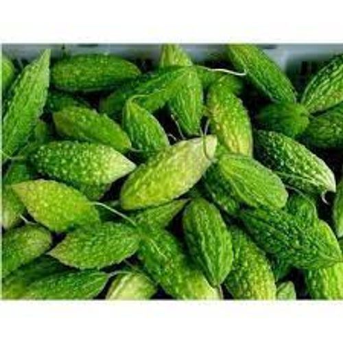 Nutritious Effective Disease Preventive Weight-Loss Diet High Fiber Vitamin C Fresh Bitter Gourd  Moisture (%): 40