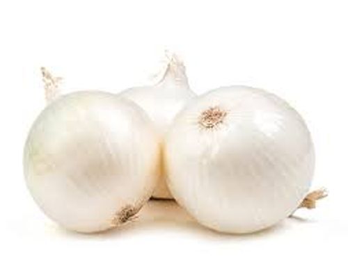 Extremely Fresh Premium Grade Naturally Grown Healthy Delicate White Onions