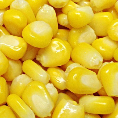 Inexpensive Delicious Healthy Deep Fried Fresh Sweet Corn, Pack Of 1 Kg 