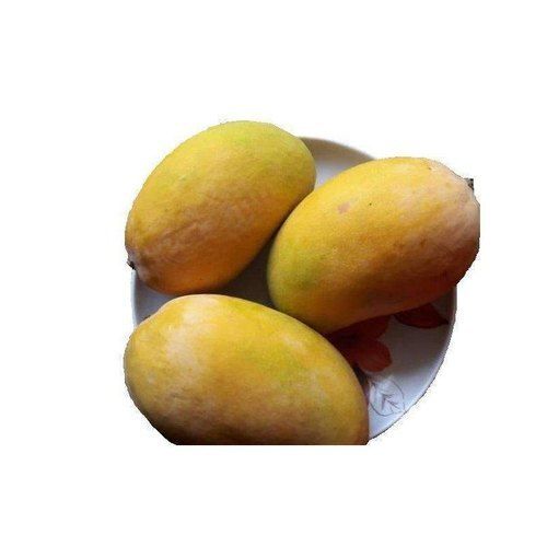 Mango Natural Healthy Delicious King Of Fruits Sweet Yellow Kesar Mango, 1 Kg